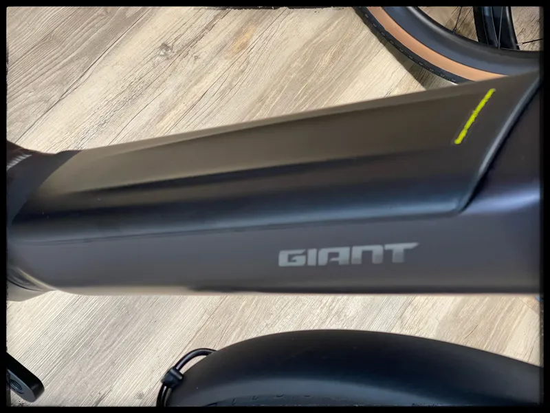 Giant DailyTour E+ 3 LDS D 25km/h Medium Rosewood 2022-1